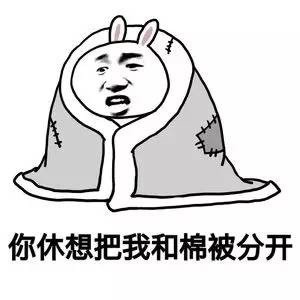 天冷不想动？这套“我要冬眠别打扰我”表情包火了