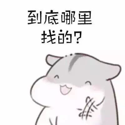 软萌仓鼠表情包合集，聊天斗图都能用