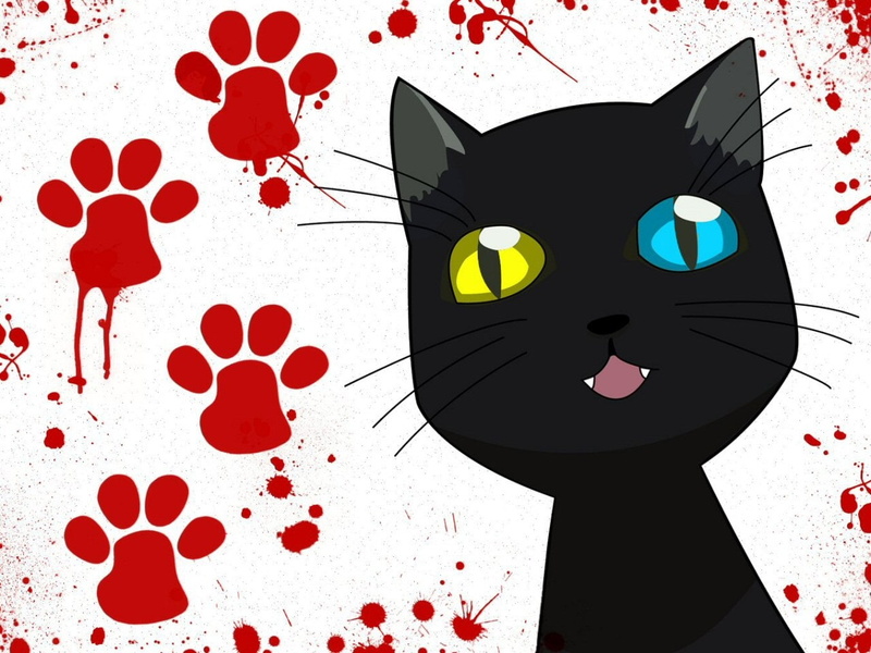 《死神》四枫院夜一猫咪爪印高清壁纸合集