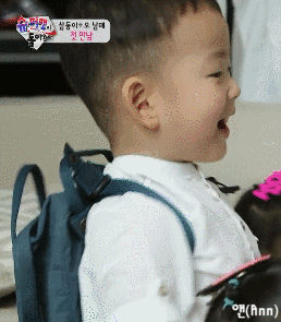 宋民国表情包合集来啦，每一张都软萌到心化