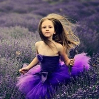 15张氛围感拉满！薰衣草女孩QQ头像合集