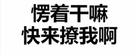 微信聊天能用的纯文字表情包合集