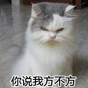 这款“大王叫我来巡山”表情包合集太适合斗图啦