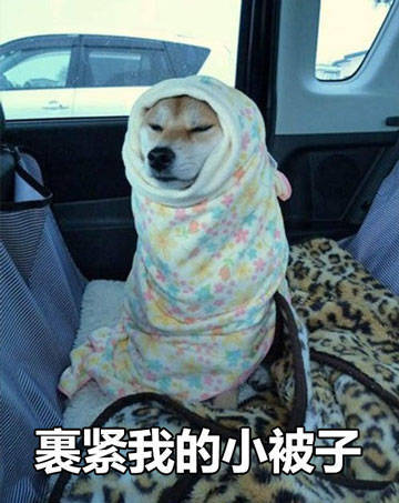 降温提醒！快裹紧你的小被子呀