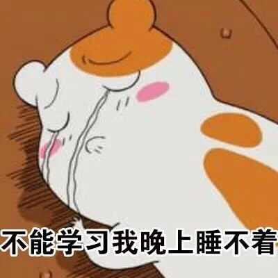 仓鼠管家学习表情包来啦