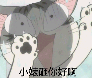 萌化了！这组喵星人表情包太会撒娇了