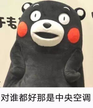 聊天必备！这套熊本熊表情包吐槽“中央空调”超好用