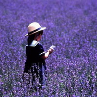 15张氛围感拉满！薰衣草女孩QQ头像合集