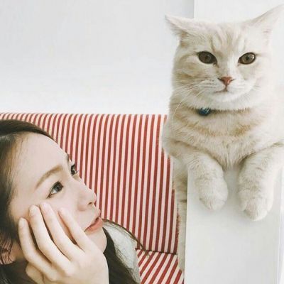 18张高清唯美QQ女生抱猫头像合集