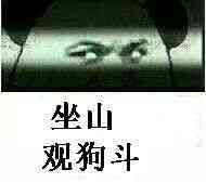 坐山观狗斗！这套表情包太适合吃瓜围观了