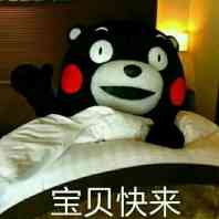 超实用熊本熊表情包合集