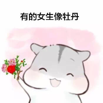 女生版仓鼠斗图梗！“有的女生像白莲花”表情包整活来了