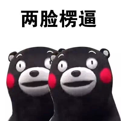 熊本熊懵逼楞逼表情包合集来了