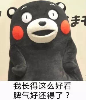 聊天必备！这套熊本熊表情包吐槽“中央空调”超好用