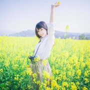 油菜花田女生唯美头像 单张高清图