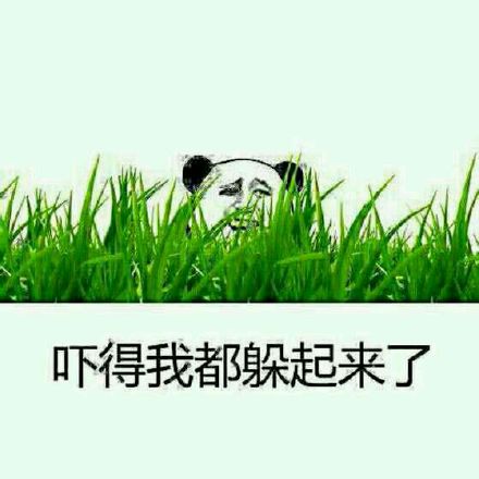 吓出尿的表情包来啦