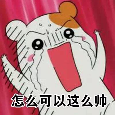 仓鼠管家搞怪表情包合集