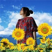 14张氛围感拉满的向日葵女生头像合集