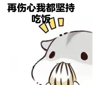 圆滚滚仓鼠表情包合集，可爱又戳中打工人痛点