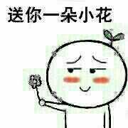 送你朵小花表情包合集来啦
