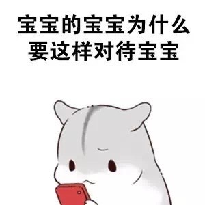 火出圈的仓鼠版绕口令表情包：宝宝的经纪人睡了宝宝的宝宝