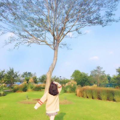 15张氛围感拉满的小清新女生背影头像