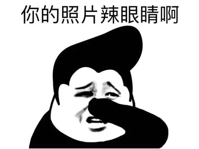 熊猫金馆长整活表情包：你长得这么帅 我能叫你旺财吗？