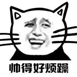 小猫版金馆长表情包合集