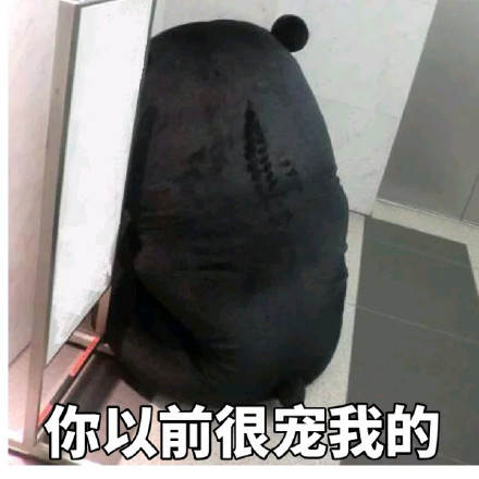 请问帅哥，你的心怎么走？熊本熊撩人情话表情包来了