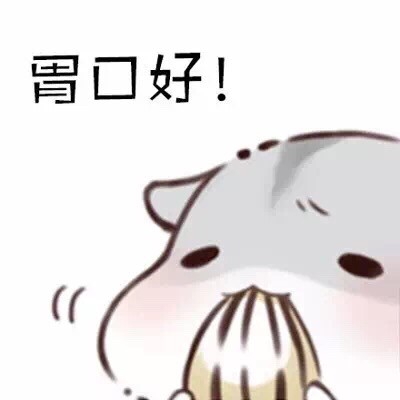 软萌仓鼠表情包合集 斗图氛围感拉满