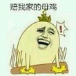 聊天斗图神器：拍桌子主题金馆长表情包合集