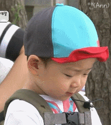 宋民国表情包合集来啦，每一张都软萌到心化