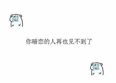 这套丧丧的小熊表情包，戳中了多少人的emo瞬间