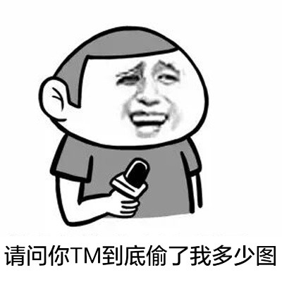 请问你TM到底偷了我多少图