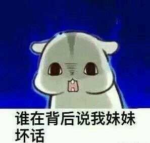 可爱仓鼠表情包合集 聊天斗图超好用