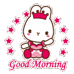 超可爱的LADYCCQQ表情包来啦