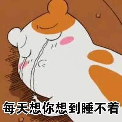 仓鼠管家搞怪表情包合集