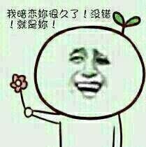 求恋爱专用表情包合集！做我女朋友吧系列