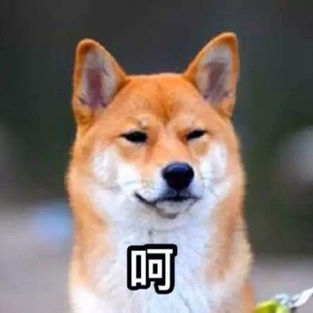单身狗专属！这套又帅又机智的表情包火了