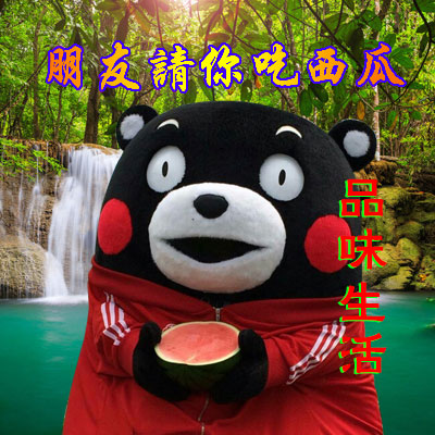 超实用熊本熊表情包合集