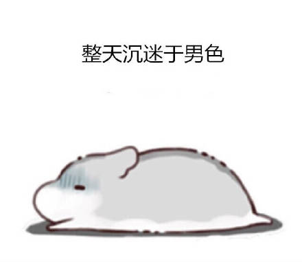 打工人摸鱼必备！这套仓鼠日常表情包太懂我了