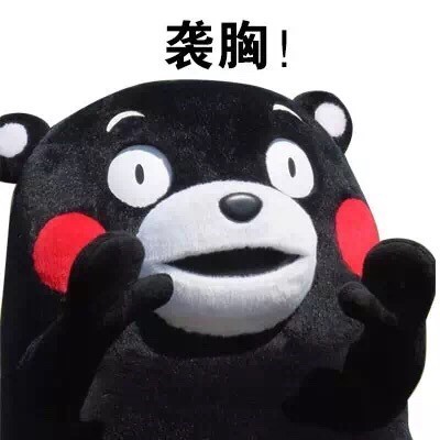 搞怪又带点“小污”的熊本熊表情包来啦