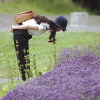 21张带薰衣草的唯美女生QQ头像合集