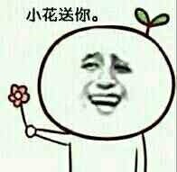 送你朵小花表情包合集来啦