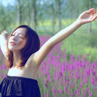 21张带薰衣草的唯美女生QQ头像合集