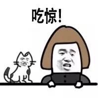 金馆长和狗子的搞笑表情包来了！我俩看完直接笑出声