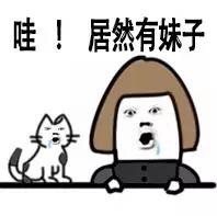 金馆长和狗子的搞笑表情包来了！我俩看完直接笑出声