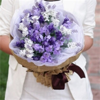 12张手拿薰衣草的唯美女生头像合集