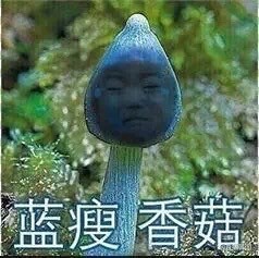 情侣秀恩爱“天天虐狗”表情包合集
