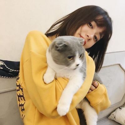 18张高清唯美QQ女生抱猫头像合集